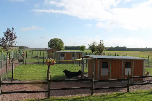 La Vallée de la Veude, Pension Pour Chiens