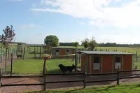 La Vallée de la Veude, Pension Pour Chiens