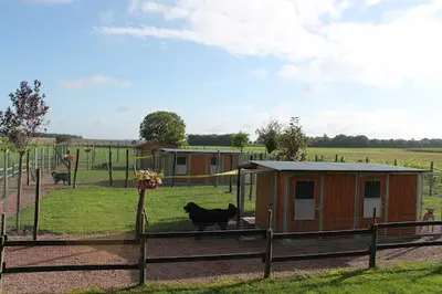 La Vallée de la Veude, Pension Pour Chiens