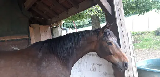 Haras des Sables