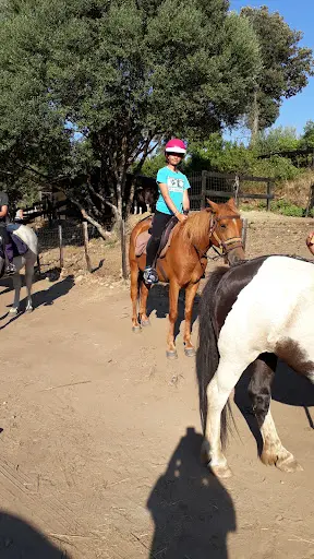 Fior Di Lezza Cupabia Baignade À Cheval