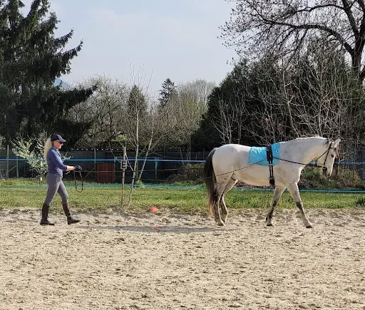 Centre Equestre des 2 Vallées