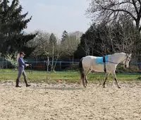 Centre Equestre des 2 Vallées