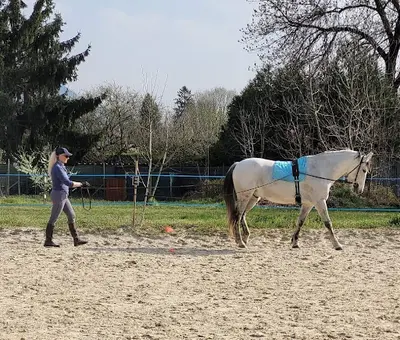 Centre Equestre des 2 Vallées