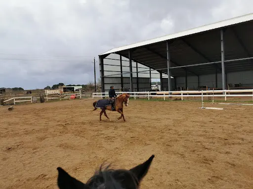 Centre Equestre Saint Bruno