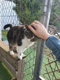 Pension les Chats de Ramboroc