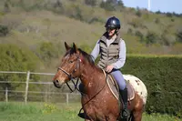 Les Chevaux de Rousieux