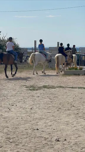 Centre Equestre de Sète