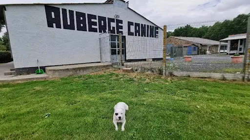 Auberge Canine de l'Éden Animal