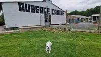 Auberge Canine de l'Éden Animal