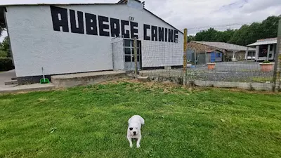 Auberge Canine de l'Éden Animal