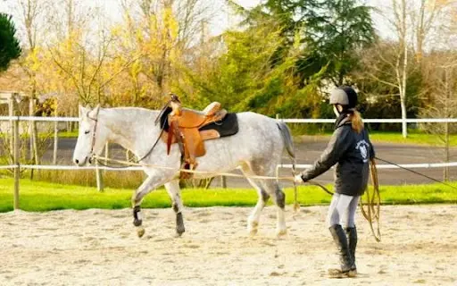 Ecurie de l'Arche d'Avalon : Pension Chevaux