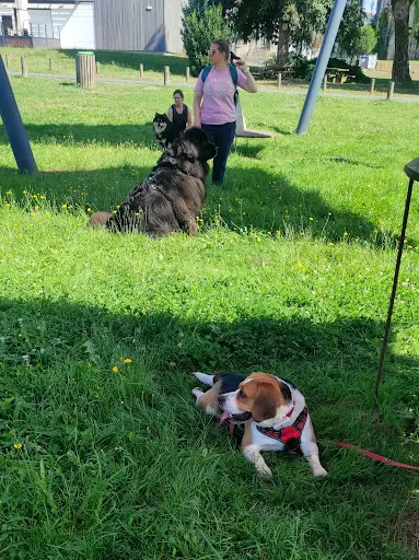 Ethiquement Chien - Comportementaliste & Éducateur Canin