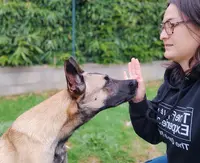 Simba Christine, Comportement, Éducation Canine, Loisirs