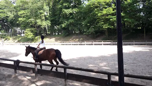 Poney Club de Brimborion
