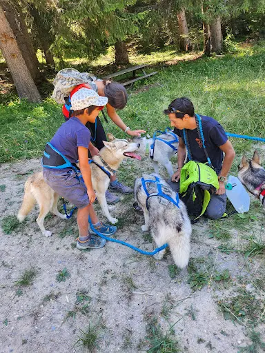 Qanittak, Toilettage Chien et Chat, Activités Chien Nordique