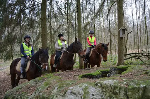 Balade À Cheval