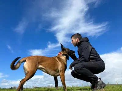 l'Académie des Chiens Sarthe