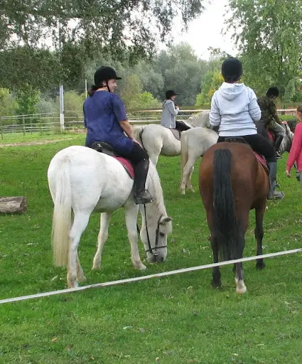 Equicie: les Crins du Lien