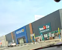 Tom&co Sin-le-noble