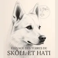 Des Terres de Skoll et Hati