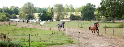 Centre Equestre Equita Sion