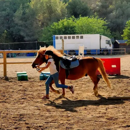 Equi Club du Brusc