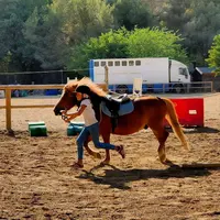 Equi Club du Brusc