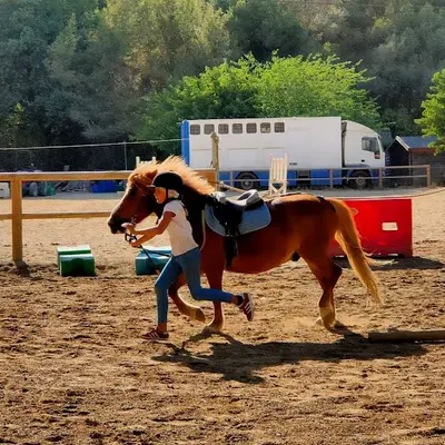 Equi Club du Brusc