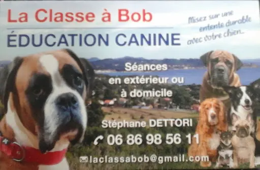 La Classe A Bob Éducation Canine