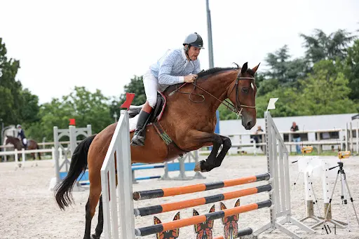 Philippe Richard Equitation Classique & Éthologique