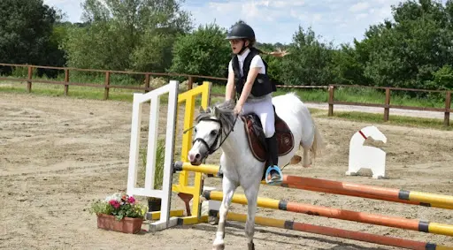 Sellerie Sylvie Equitation