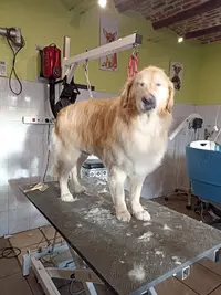 A l'Eau Toutou