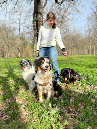 Langage de Chien - Éducateur Canin Comportementaliste