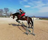 Poney Club Harland