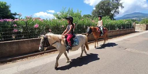 Poney-club Paese Di U Cavalluciu