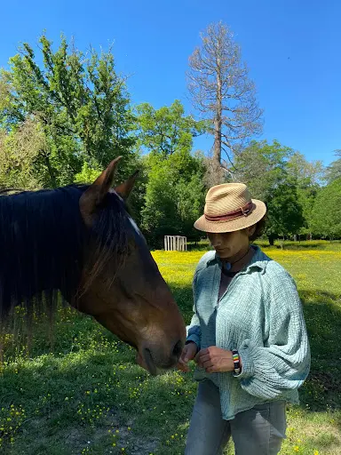 Nouvel Acte. Equicoaching- Equithérapie- Formations