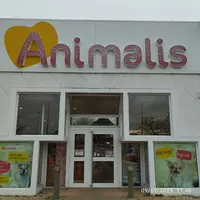 Animalis Avignon