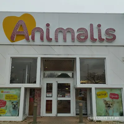 Animalis Avignon