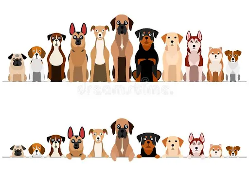 Dog Training