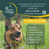 La Truffe À l'Oreille