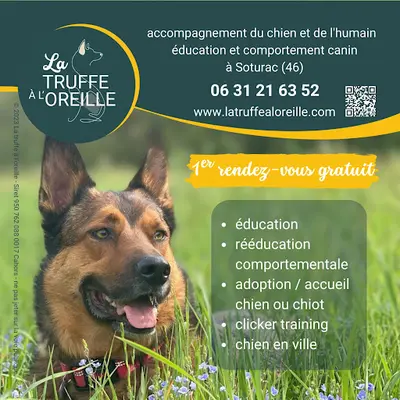 La Truffe À l'Oreille