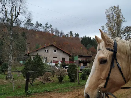 Gîte Equestre de la Vallée À l'Échappée Verte