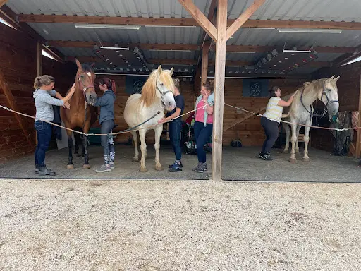 Domaine des Hardies - Formation Massages et Fascia, Complément Alimentaire et Nutrition Équin