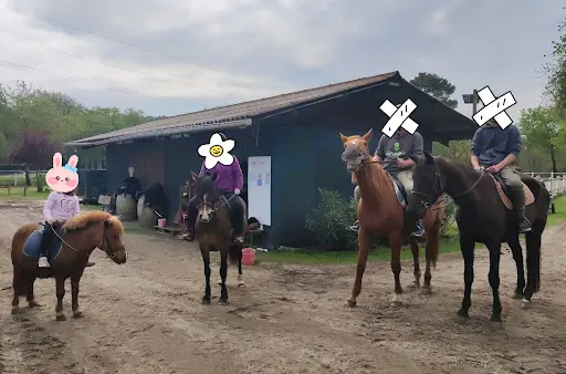 Haras de Silver