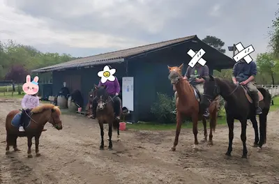 Haras de Silver