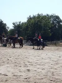 Les Petits Chevaux