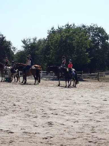 Les Petits Chevaux