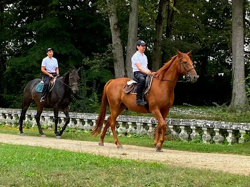 Haras de la Rousseliere