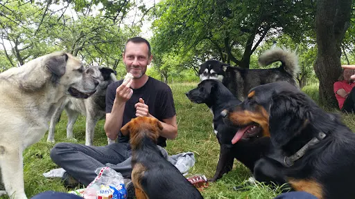 Nos Chiens & Nous